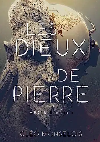 Aesir, les 2 livres de la série