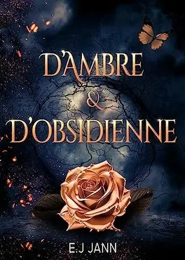 Les Joyaux d'ombre et de lumière, les 2 livres de la série les joyaux dombre et de lumiere tome 1 dambre et dobsidienne 5202501 264 432