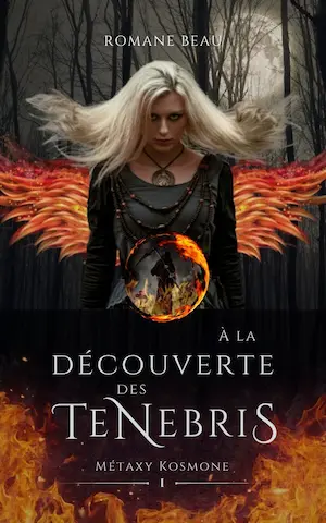 Métaxy Kosmone, Tome 1 : À la découverte des Tenebris metaxy kosmone tome 1 a la decouverte des tenebris 5191393