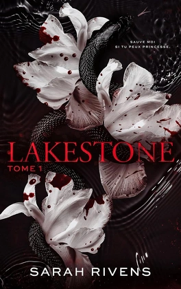 Lakestone, les 2 livres de la série