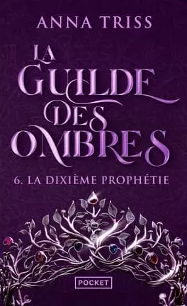 La Guilde des ombres, les 6 livres de la série
