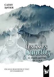 Les Âmes jumelles, les 5 livres de la série