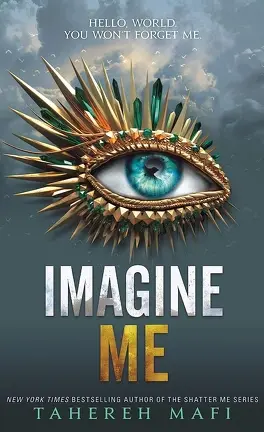 Insaisissable, les 7 livres de la série