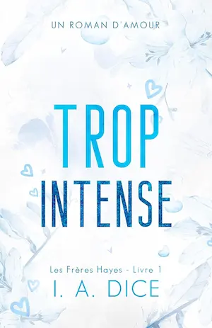 Les Frères Hayes, les 6 livres de la série