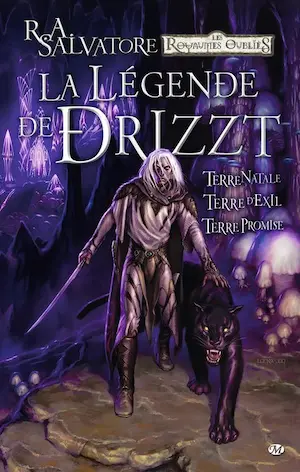La Légende de Drizzt, pack de 38 tomes 1 La Légende de Drizzt, pack de 38 tomes